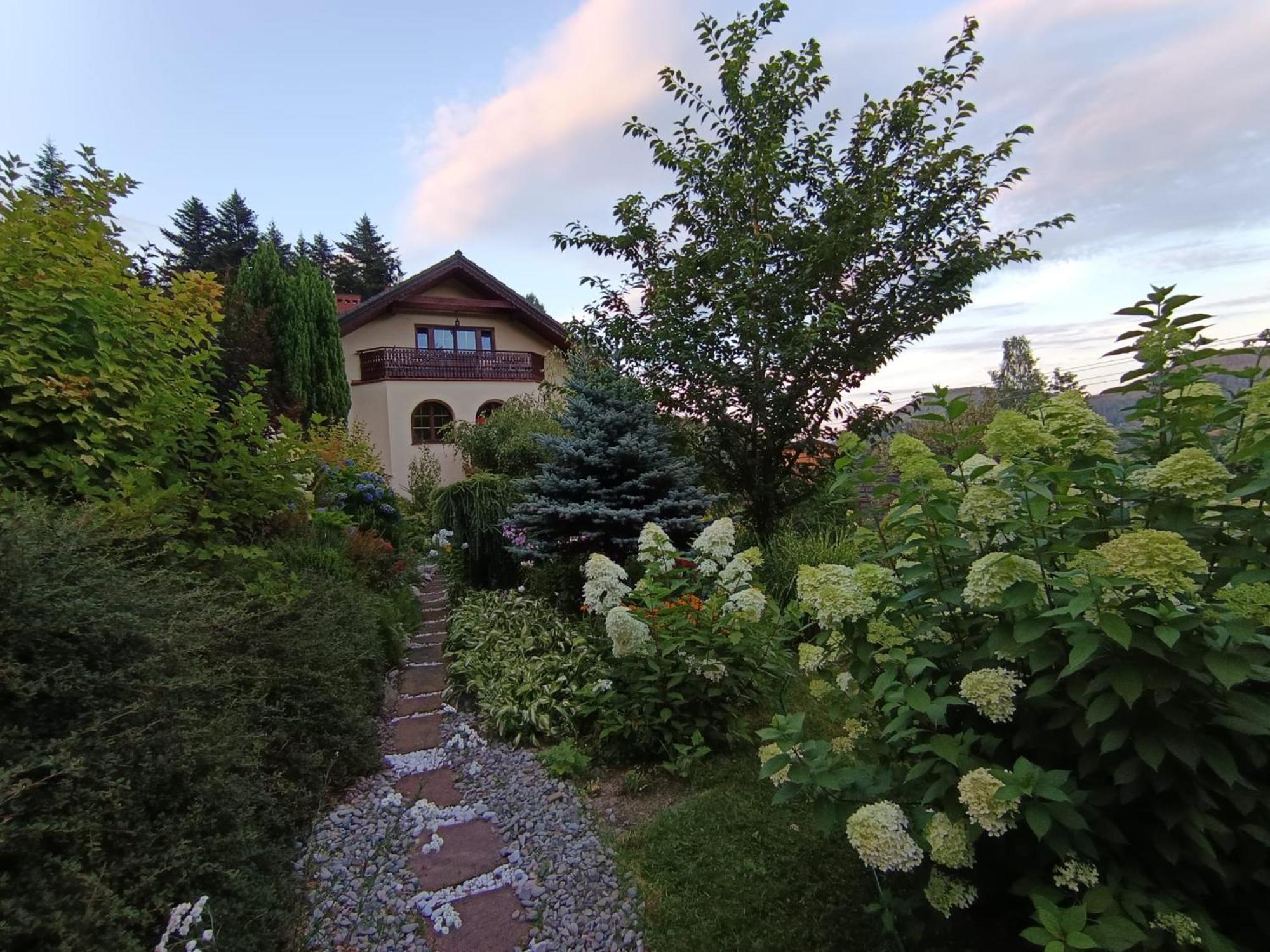 Willa Wierchy Szczyrk Exteriör bild
