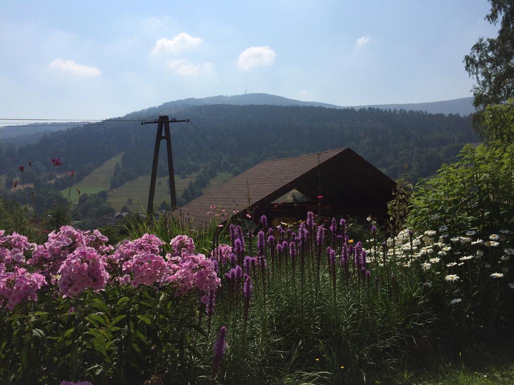 Willa Wierchy Szczyrk Exteriör bild