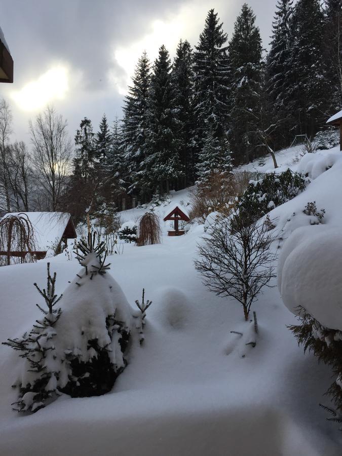 Willa Wierchy Szczyrk Exteriör bild