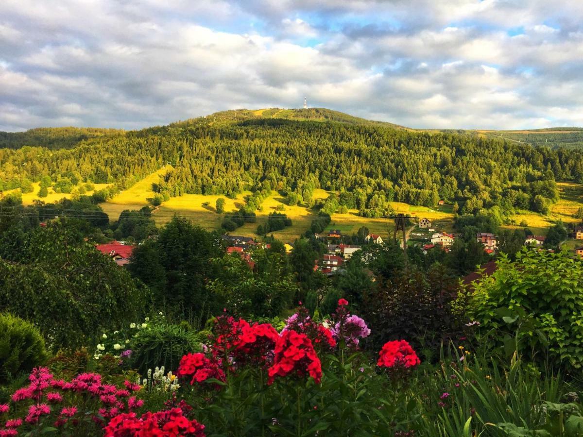Willa Wierchy Szczyrk Exteriör bild